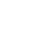 Flip camera Icon