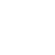 Muted Icon